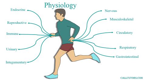 exercise meaning in physical education|General Physiological Concepts in Physical Education .